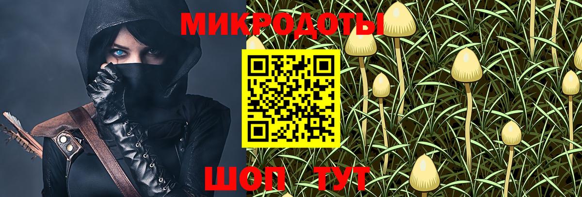 Вязьма  Псилоцибиновые грибы Cubensis  Галлюциногенные грибы Psilocybine cubensis  Вход с VPN 