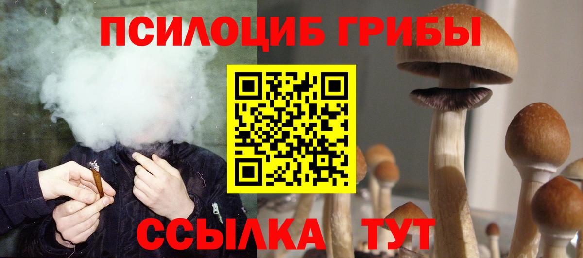Галлюциногенные грибы Psilocybe Вязьма